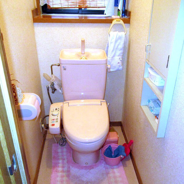 toilet01-before-thumb-700pxxauto-62